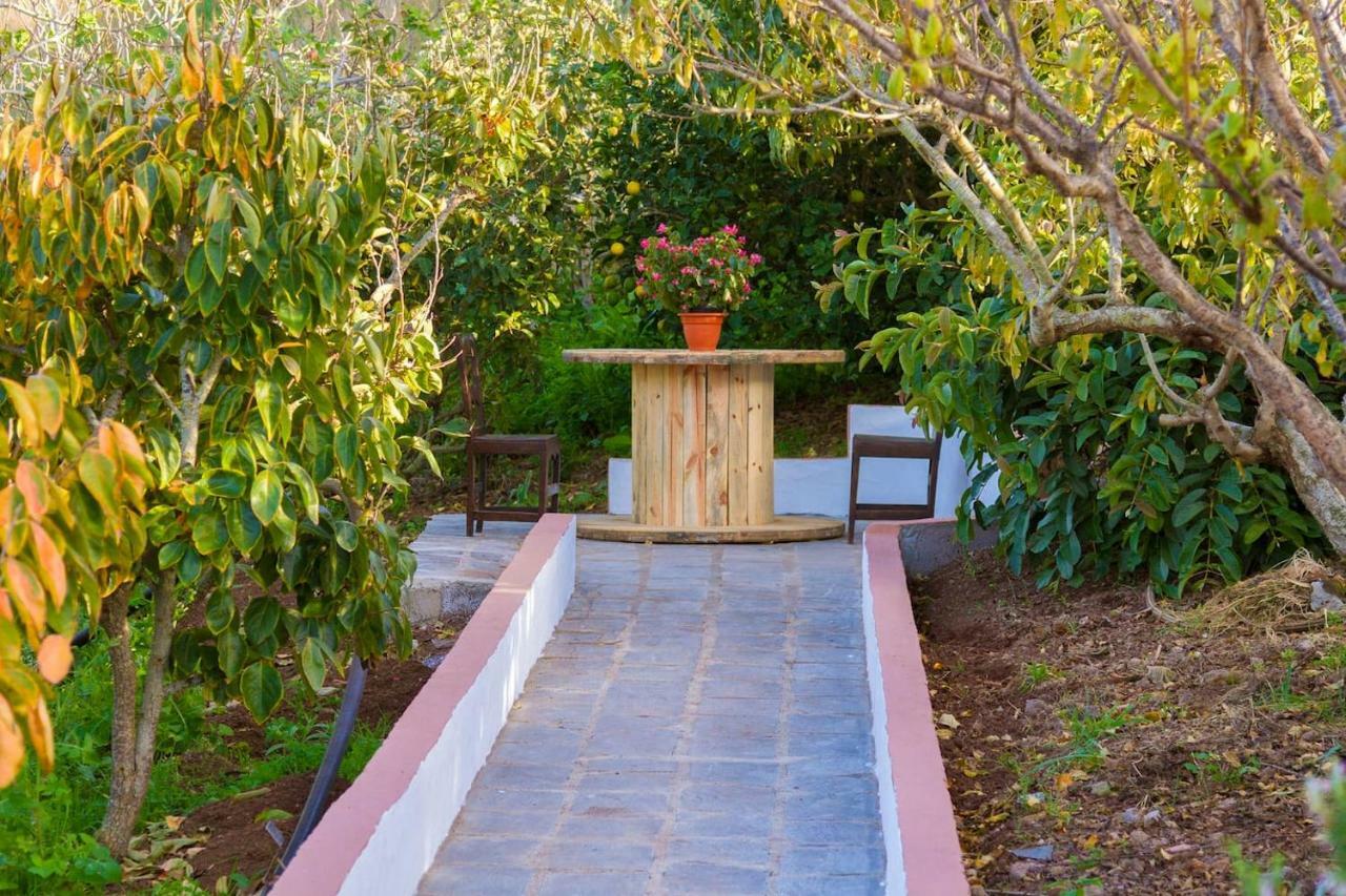 Casa Cueva Villa Aday Santa Maria de Guia de Gran Canaria Esterno foto