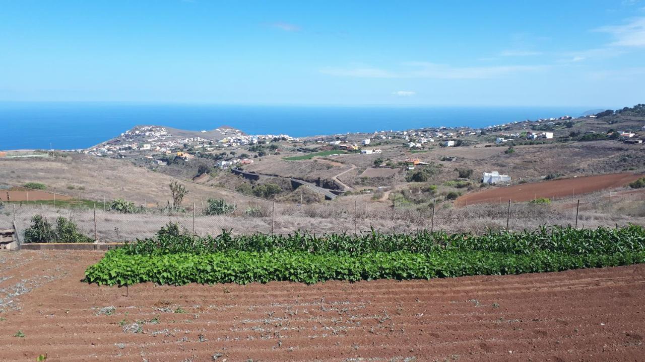 Casa Cueva Villa Aday Santa Maria de Guia de Gran Canaria Esterno foto