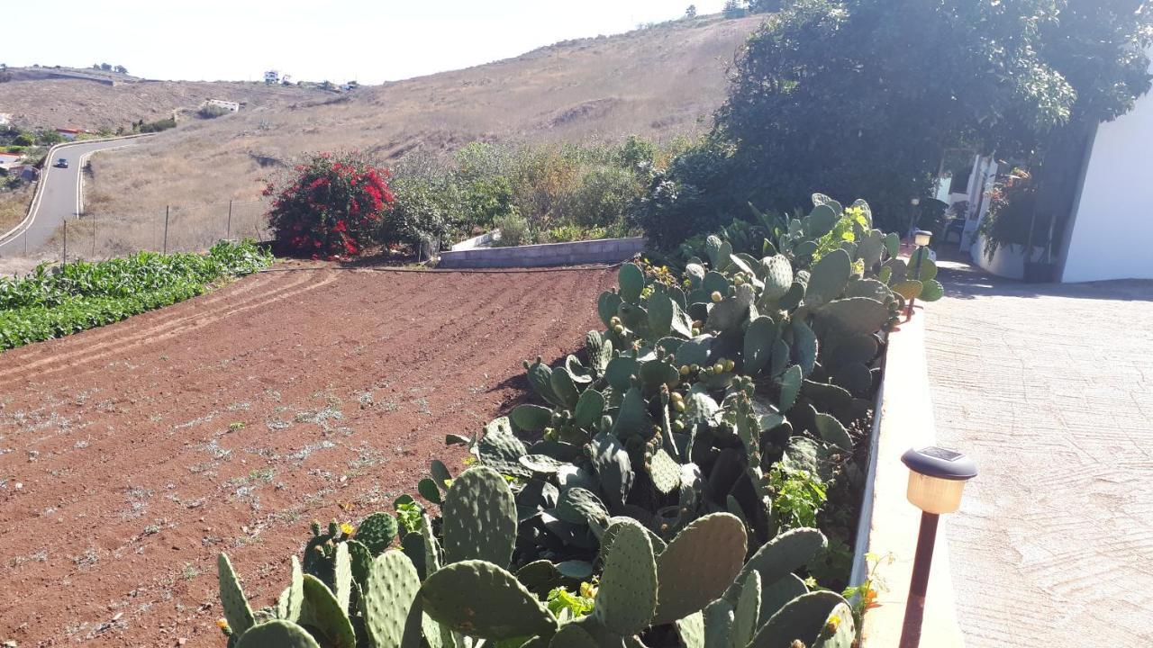 Casa Cueva Villa Aday Santa Maria de Guia de Gran Canaria Esterno foto